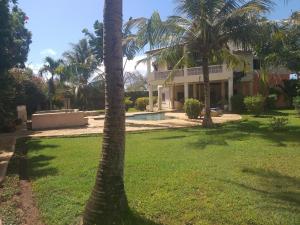a palm tree in front of a house at Villa Simba in Galu