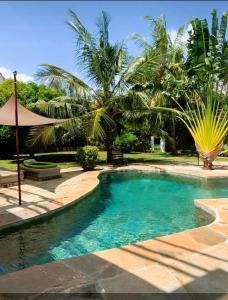 a swimming pool in a yard with palm trees at Villa Simba in Galu