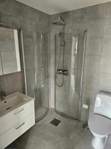 La salle de bains est pourvue d'une douche, de toilettes et d'un lavabo. dans l'établissement Ebbas stuga, à Färjestaden