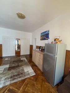 uma cozinha com um frigorífico em aço inoxidável e pisos em madeira em Casa RoxAmy em Orşova