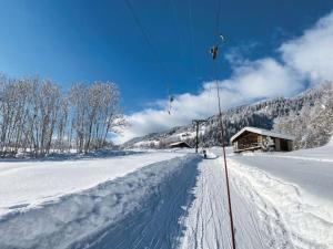 un esquiador en un remonte en la nieve en Ferienwohnung in perfekter Lage in der Surselva, en Trun