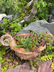 a planter filled with plants sitting on top of rocks at Appartement jerry et joy in Wolfisheim