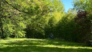 VersにあるLes Hauts de Saulièsの木々と柵の緑地
