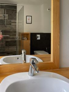 Gite Fruehmess في إتيرسويلير: حمام مع حوض ومرآة