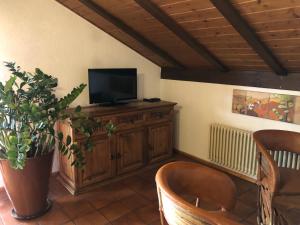 un salon avec une télévision et une plante en pot dans l'établissement Hegau-Lounge-Bodensee, à Mühlhausen-Ehingen