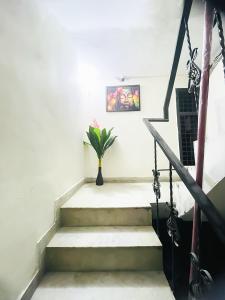 a staircase with a vase with a plant in it at Hotel Aura Opposite Max Hospital in New Delhi