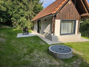 a house with a fire pit in the grass at Casetta Kathinka in Großklein