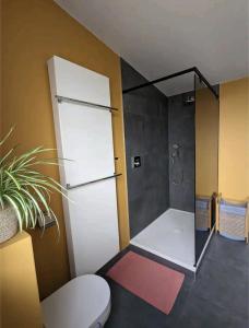 bagno con doccia, servizi igienici e tappeto rosa di Tweepersoonskamer centrum Poperinge a Poperinge