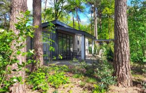 a tiny house in the woods with trees at Pet Friendly stacaravan In Hardenberg With Kitchen in Hardenberg