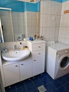 a bathroom with a sink and a washing machine at Apartment Luka at Soča & Koritnica confluence in Bovec