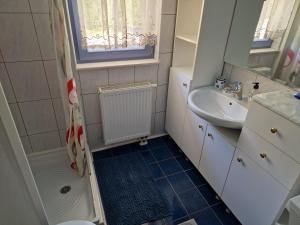 a small bathroom with a sink and a shower at Apartment Luka at Soča & Koritnica confluence in Bovec
