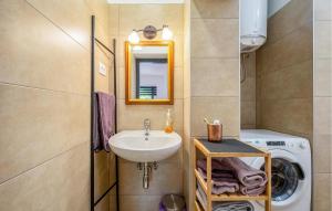 La salle de bains est pourvue d'un lavabo et d'un lave-linge. dans l'établissement Gorgeous Apartment In Lovran With Wifi, à Lovran
