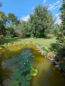 a pond with lily pads in a garden at Ferienwohnung Hofen 5 in Peiting