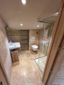 Un baño con inodoro, lavabo y ducha. en Chalet Rose, en Morzine