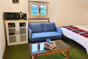 a living room with a blue couch and a bed at Homestay in Tuscan countryside with private bathroom and terrace in Borselli