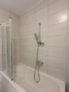 a shower with a glass door in a bathroom at Apartment Felix in Rijeka +15 photos