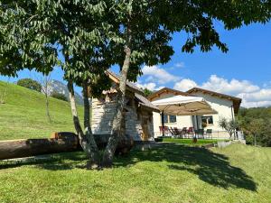 a small house with a tree in front of it at Origini Holidays in Sedico