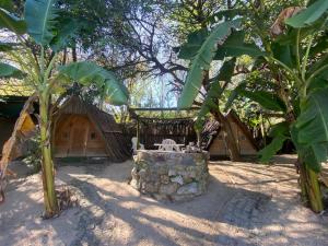 Un jardín fuera de The Riverdeck Accommodation and Backpackers