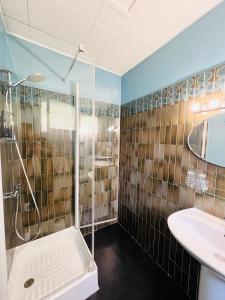 een badkamer met een douche en een wastafel bij Motel Les Broussailles in Mesves-sur-Loire
