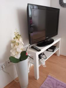 a tv and a vase with a flower on a table at kutak in Sesvete