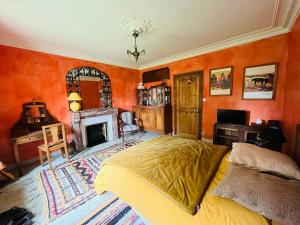 1 dormitorio con paredes de color naranja, 1 cama y chimenea en Le buisson de la Gariole, en Aubigny-sur-Nère