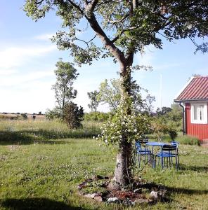 une table et des chaises sous un arbre dans un champ dans l'établissement Cozy cottage in Aleklinta, north of Borgholm, close to the sea, à Borgholm