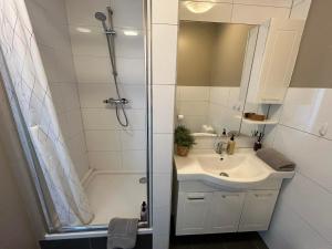 a bathroom with a shower and a sink at The Hvítá Inn in Bær