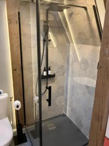 a shower with a glass door in a bathroom at La Ferme 1851 - Cabane Spa Nordique privé vue sur champ in Willems +76 photos