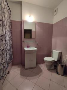 W łazience znajduje się toaleta, umywalka i lustro. w obiekcie Villa Natali Warszawa w Warszawie