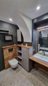 ein Bad mit einem WC und einem Waschbecken in der Unterkunft Lodge 1 : Magnifique deux chambres proche centre in Morzine