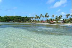 a beach with a group of palm trees and water at Une pause s'impose au Vauclin avec votre jacuzzi privatif pour 3 nuits minimum in Le Vauclin