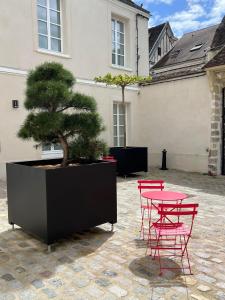 Le Laurencin Sens - Le Parisien في سونس: طاولة وكراسي وشجرة بونساي في ساحة الفناء