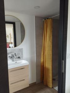 ein Bad mit einem Waschbecken, einem Spiegel und einer Dusche in der Unterkunft La Rose du Bel Homme in Rocroi