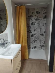 ein Bad mit einer Badewanne, einem Waschbecken und einer Dusche in der Unterkunft La Rose du Bel Homme in Rocroi