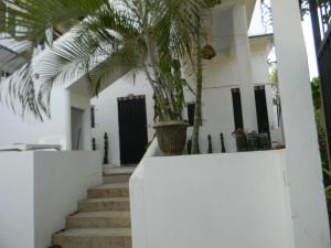 a palm tree in a pot on a white wall at Casa Vista Al Mar - Iguana Room in Puerto Escondido