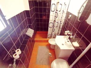 y baño con aseo blanco y lavamanos. en Vrdnik apartmani Sara, en Vrdnik