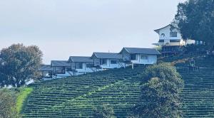 una fila de casas en la cima de una colina en WATA KHIRI by Wang Put Tan, en Mae Salong