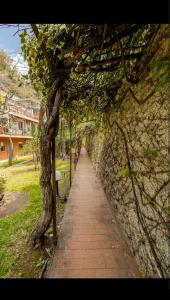 a walkway with a tree next to a stone wall at Tiny house Taormina mare with sofa bed - mini stanza Taormina mare con divano letto in Taormina