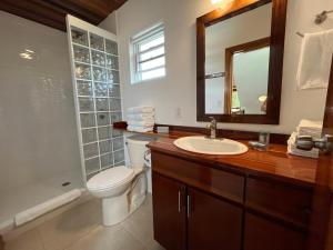 ein Badezimmer mit Toilette, Waschbecken und Spiegel in der Unterkunft Caribbean Sunrise Cottage in Caye Caulker + 15 Fotos