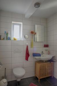La salle de bains est pourvue de toilettes et d'un lavabo. dans l'établissement Ferienhaus Ziegler, à Loßburg