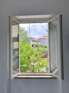 uma janela aberta com vista para uma árvore em Casa Leonardo em Castiglione della Pescaia