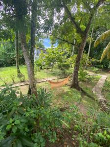 Giardino di Pousada Coco Dendê