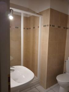 a bathroom with a shower and a sink and a toilet at Maison sanguinet à 100m du lac in Sanguinet +3 photos