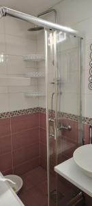 e bagno con doccia, servizi igienici e lavandino. di Župski TRG ad Aleksandrovac
