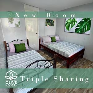 2 łóżka w pokoju zielonym i różowym w obiekcie Olive Hostel Roxas City w mieście Roxas