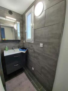 une salle de bain avec un lavabo et un miroir dans l'établissement Appartement T2 rez de villa, à Santa-Reparata-di-Balagna