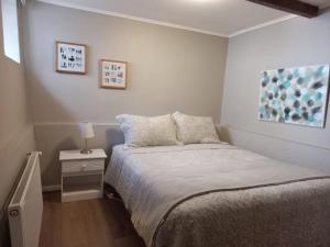 a small bedroom with a bed and a night stand at Lodge Andes in Farellones