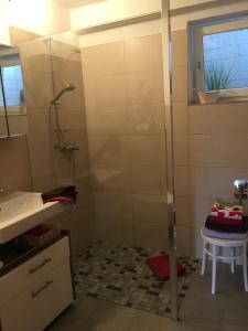 bagno con doccia e lavandino di Ferienwohnung Amselstraße a Marburg an der Lahn