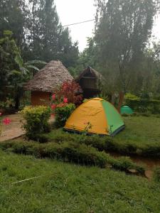 uma tenda amarela e verde sentada num quintal em Irente Kinyonga Cottage em Lushoto