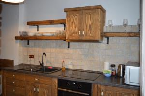 a kitchen with wooden cabinets and a counter top at Penzion No. 1 in Olomouc